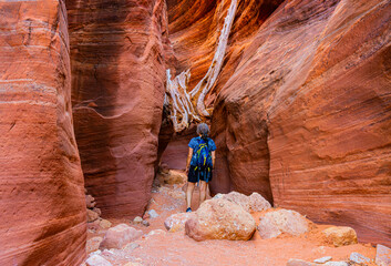 Female Hiker Inside Wire Pass Slot Canyon, Wire Pass-Buckskin Gulch Trail , Vermillion Cliffs National Monument, Utah, USA