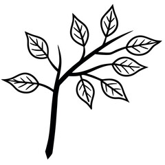 Black Ash Branch with Detailed Leaf Clusters and Textured Bark