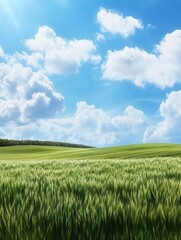 Fototapeta premium Beautiful Panorama of Rolling Green Fields. Spring or Summertime Background with White Fluffy Clouds and Natural Landscape.