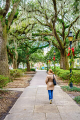 Alley in Forsyth Park