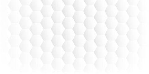 Abstract. Embossed Hexagon , honeycomb white Background ,light and shadow ,Vector