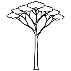 Black and White Sketch Tall Eucalyptus Tree Smooth Trunk © Abdur Rahim
