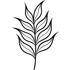 Black Line Drawing of a Single Eucalyptus Leaf with Curved Lines