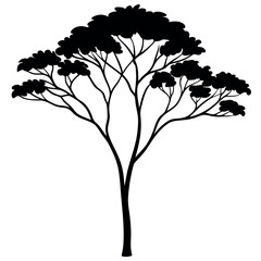 Black Silhouette Minimalist Eucalyptus Tree Vector Illustration