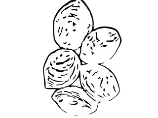 hand drawn easter eggs