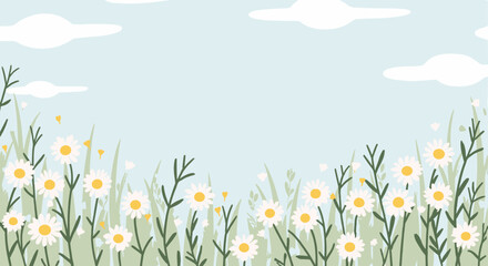 Wildflowers in green grass under a blue sky with clouds  