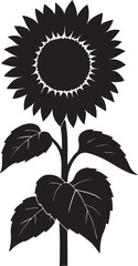 Sunflower with leaves silhouette vector style, Sunflower bloom black and white design