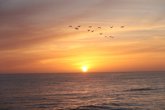 Sunset over the ocean with seagulls flying.