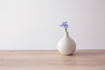 blue iris in ceramic modern vase in white interior