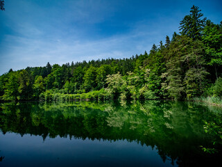 Schöner See im Wald