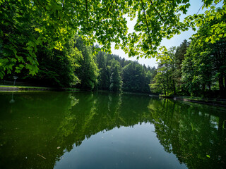 Schöner See im Wald