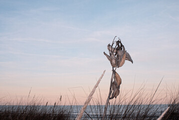 Lakeshore with sunrise