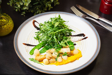 Gourmet Scallop Salad with Arugula and Pea Pods. Elegant restaurant dish featuring scallops, arugula, sugar snap peas, and a bright yellow puree, plated with artistic balsamic drizzle.