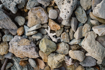 Coral and Rocks on Fiji Coastline