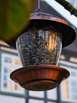 Close-up of a bird feeder filled with sunflower seeds
