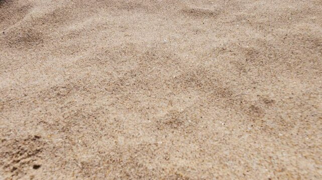 Fine beach sand in the summer sun
