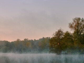 Closeup shot of a lake surrounded by trees under a sunset sky