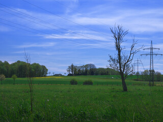Green grass field against the cloudy sky in summer