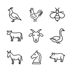 farm animals collection