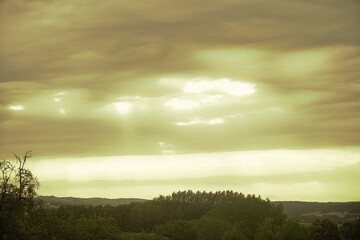 sunrise in the forest