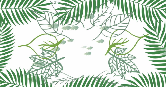 Fototapeta Arranging stylized green leaf illustrations into decorative frame on white canvas, botanical motif