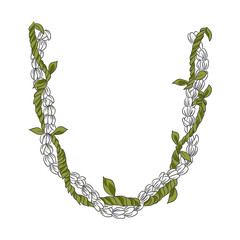 necklace Hawaiian Lei flower illustration hand drawing  