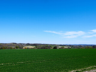 Green grass field under blue sky