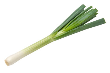Fresh scallion vegetable ingredient for cooking and healthy eating food isolated on transparent background