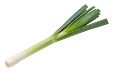 Fresh scallion vegetable ingredient for cooking and healthy eating food isolated on transparent background