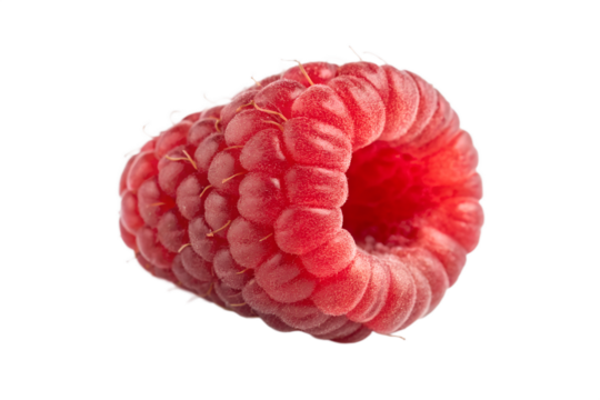 Close up of fresh raspberry fruit for healthy eating and summer vibes isolated on transparent background