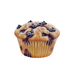 Delicious Blueberry Muffin with Sugar Topping