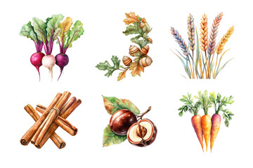 A vibrant collection of fresh vegetables and spices, including carrots, radishes, and herbs. Ideal for culinary design projects, showcasing the beauty of farm-to-table ingredients.