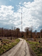 road leading to a tower in the middle of a dying forest