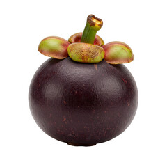 Single Mangosteen Fruit on Transparent Background Close up of Dark