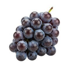Closeup of a Lush Bunch of Dark Purple Grapes with Water Droplets on