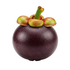 Single Ripe Mangosteen Fruit with Dark Purple Skin and Green Sepals