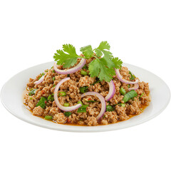 Spicy Minced Meat Salad with Red Onion and Cilantro