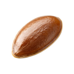 Closeup view of a single flaxseed for healthy eating and nutrition needs isolated on transparent background