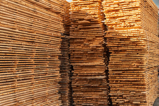 Tall stacks of neatly arranged timber await further processing in a bright and spacious wood processing facility
