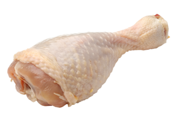 Fresh raw chicken drumstick poultry uncooked meat protein food diet meal isolated on transparent background