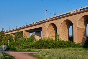 Closeup shot of a train passing over the greenery in a park