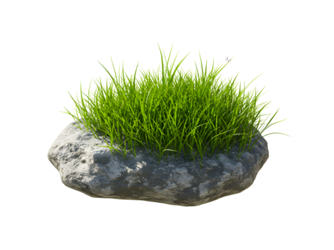 Natural mossy rock with rich green texture, isolated on transparent background, perfect for nature, fantasy, game design, or eco-themed digital artwork.