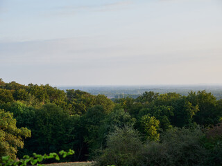 Obraz premium Beautiful shot of the forest