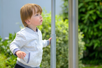 Little Boy Looking Up