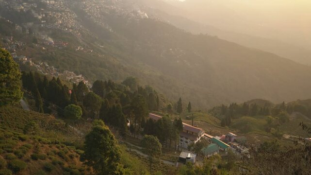Tea plantation in the Darjeeling, India, Asia