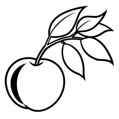 Black and White Line Drawing Peach Branch with Fruit and Leaves