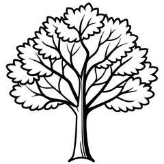 Obraz premium Black and White Simplified Sycamore Tree Vector Illustration 1