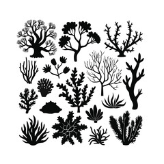 Diverse Vector Coral and Seaweed Silhouettes - Underwater Flora Collection for Marine Design