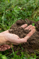 hand holding soil