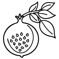 Hand Drawn Black Pomegranate Branch Open Fruit Seeds